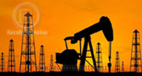 industria quimica y petroquimica RECUBRIMIENTOS industria quimica y petroquimica RECUBRIMIENTOS